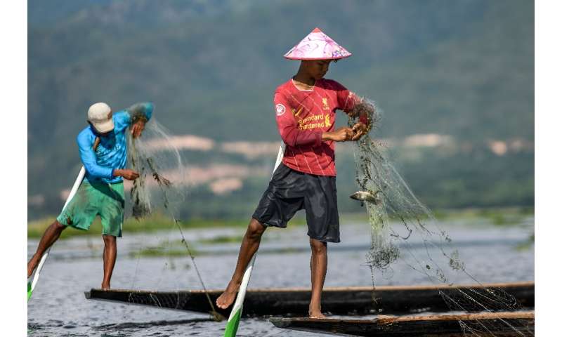 缅甸著名的茵莱湖布满了漂浮的农场