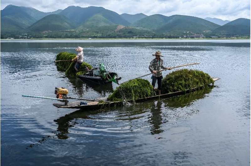 缅甸著名的茵莱湖布满了漂浮的农场