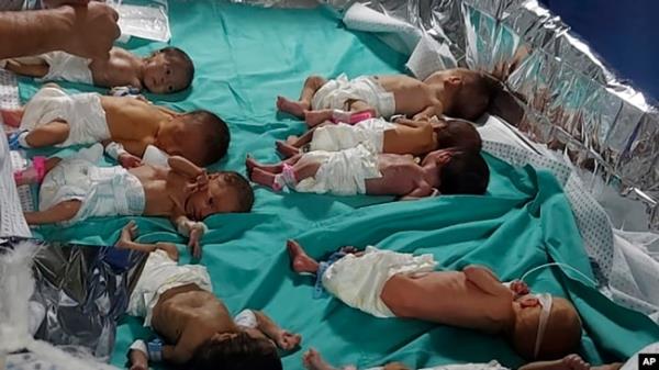 This photo released by Dr. Marawan Abu Saada shows prematurely born Palestinian babies in Shifa Hospital in Gaza City, Nov. 12, 2023. (Dr. Marawan Abu Saada via AP)