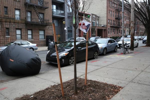 Trees in the middle of the sidewalk