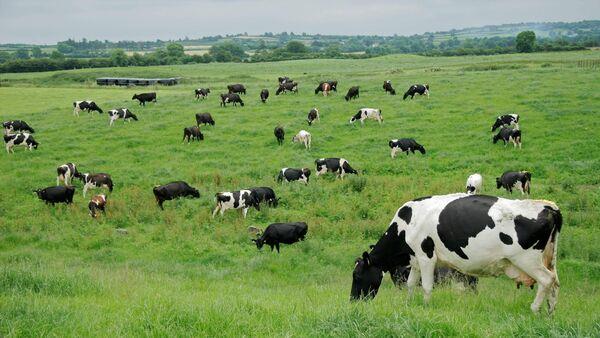 Positive Dairy Co<em></em>nference takes place in Fermoy this week