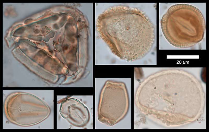 Ice ages were not as dry as we thought, according to surprising new Australian cave study