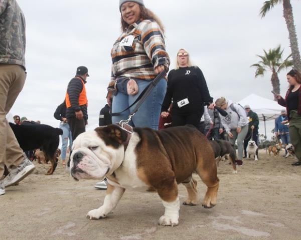 Minor along with his owner Kiani gets ready to strut...