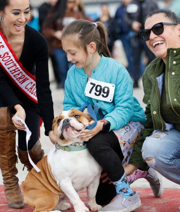 Ever Bakers bulldog Rosie wins third place in the 17th...