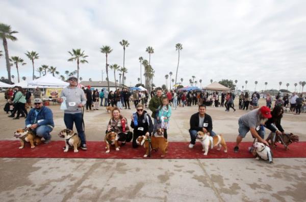 The winners of the 17th Annual Bulldog Beauty co<em></em>ntest get...