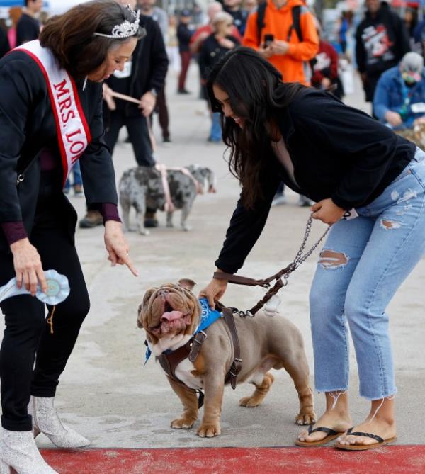 Mr. OG with his owner Thais Alipazaga pick up an...