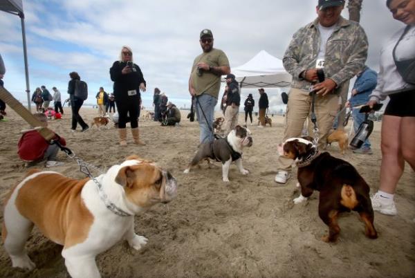 Bruce, Winston, and Chubz hang out as they wait for...