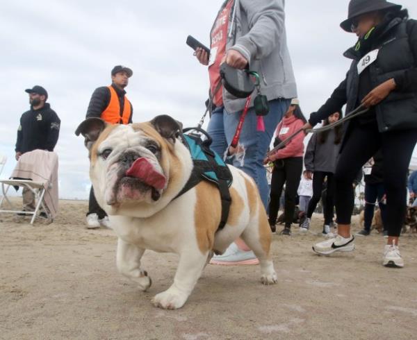 Biggie Smalls hams it up for the camera as he...