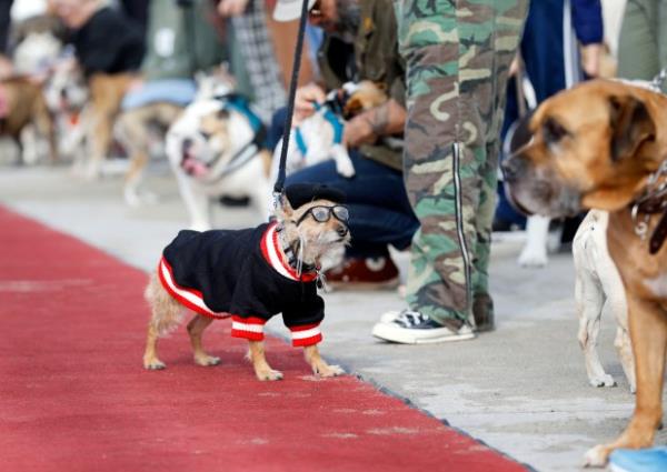 Trip checks out the competition in the Best Senior contest...