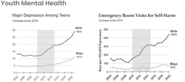 Youth mental health crisis