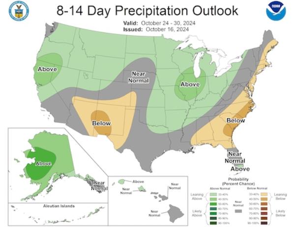 8-14 day precipitation outlook